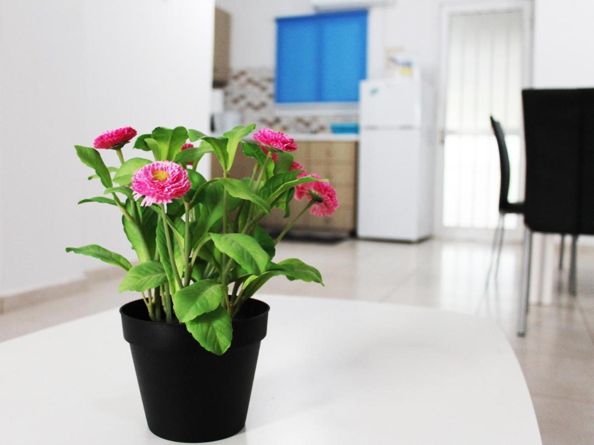 Duplex Comfort Apartments Larnaca Dış mekan fotoğraf